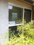 Psycholoog burn-out, psycholoog werk, psycholoog bedrijven, psycholoog online
