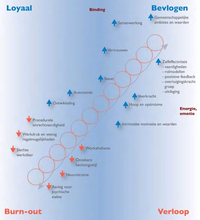 Burn-out schematische weergave Stecr werkwijzer